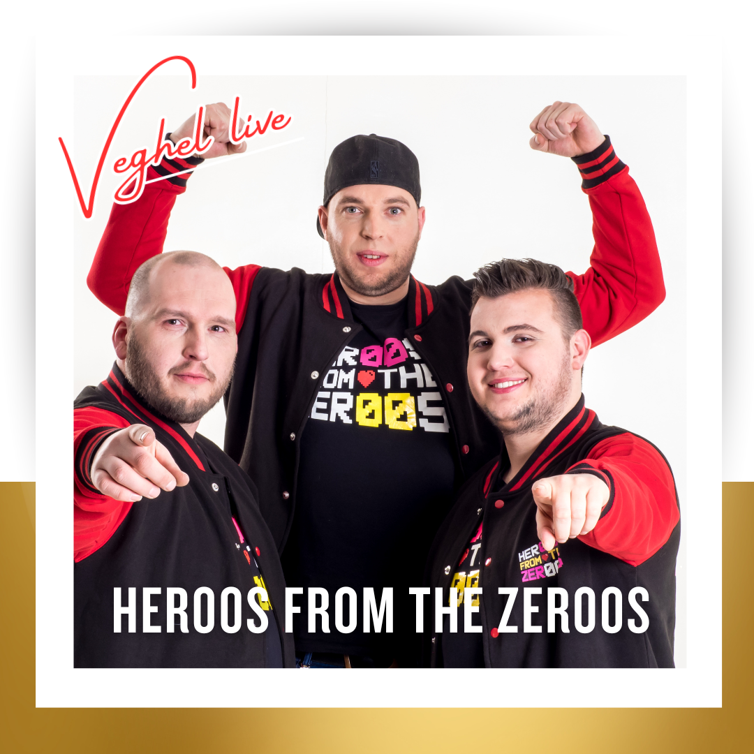 Veghel live artiesten 11